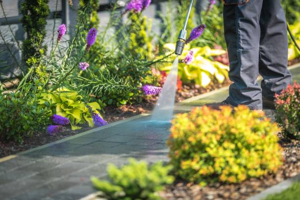Trusted Cambria, CA Pressure Washing Services Experts